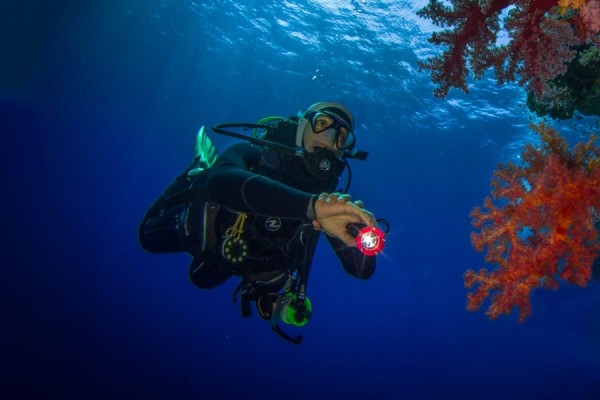 PADI SPECIALITY DIVES